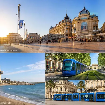 Elegant Haussmannien Dans L'ecusson Апартаменты Монпелье